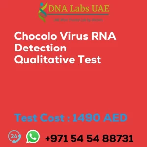 Chocolo Virus RNA Detection Qualitative Test sale cost 1490 AED