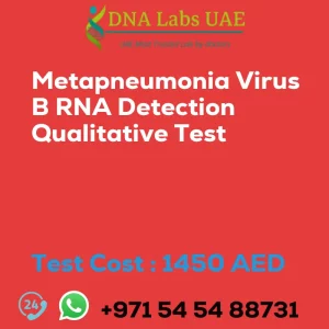 Metapneumonia Virus B RNA Detection Qualitative Test sale cost 1450 AED