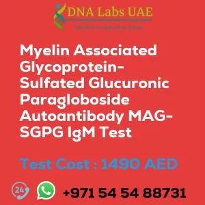 Myelin Associated Glycoprotein-Sulfated Glucuronic Paragloboside Autoantibody MAG-SGPG IgM Test sale cost 1490 AED