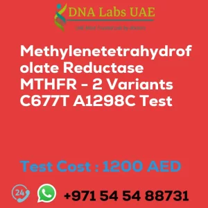 Methylenetetrahydrofolate Reductase MTHFR - 2 Variants C677T A1298C Test sale cost 1200 AED