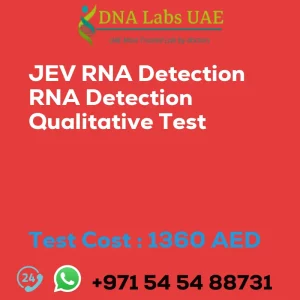 JEV RNA Detection RNA Detection Qualitative Test sale cost 1360 AED