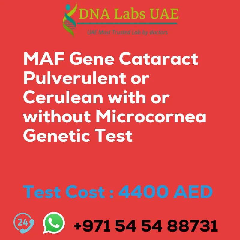 MAF Gene Cataract Pulverulent or Cerulean with or without Microcornea Genetic Test sale cost 4400 AED