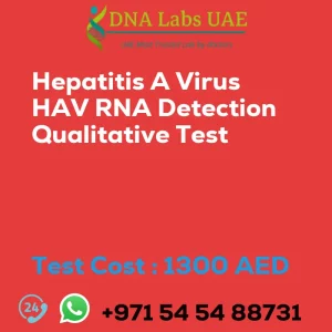 Hepatitis A Virus HAV RNA Detection Qualitative Test sale cost 1300 AED