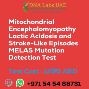 Mitochondrial Encephalomyopathy Lactic Acidosis and Stroke-Like Episodes MELAS Mutation Detection Test sale cost 1290 AED