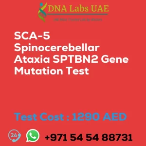SCA-5 Spinocerebellar Ataxia SPTBN2 Gene Mutation Test sale cost 1290 AED
