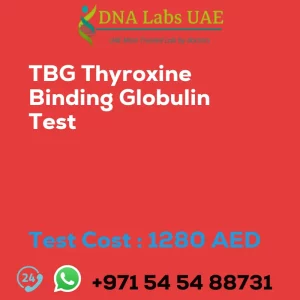 TBG Thyroxine Binding Globulin Test sale cost 1280 AED