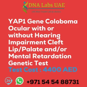YAP1 Gene Coloboma Ocular with or without Hearing Impairment Cleft Lip/Palate and/or Mental Retardation Genetic Test sale cost 4400 AED