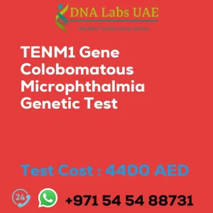 TENM1 Gene Colobomatous Microphthalmia Genetic Test sale cost 4400 AED