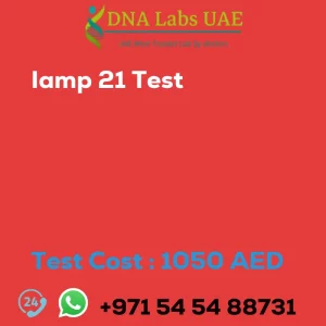 Iamp 21 Test sale cost 1050 AED