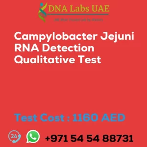 Campylobacter Jejuni RNA Detection Qualitative Test sale cost 1160 AED