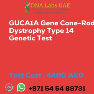 GUCA1A Gene Cone-Rod Dystrophy Type 14 Genetic Test sale cost 4400 AED