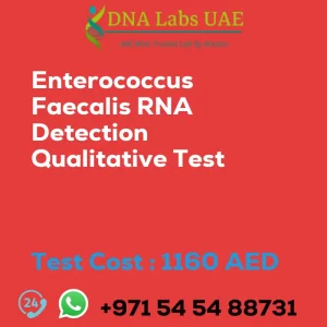 Enterococcus Faecalis RNA Detection Qualitative Test sale cost 1160 AED