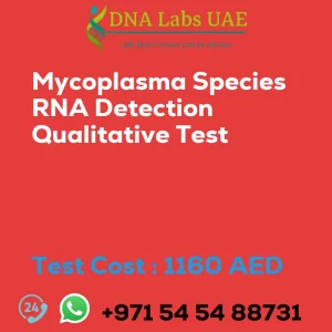 Mycoplasma Species RNA Detection Qualitative Test sale cost 1160 AED