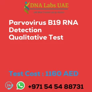 Parvovirus B19 RNA Detection Qualitative Test sale cost 1160 AED