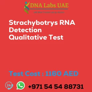 Strachybotrys RNA Detection Qualitative Test sale cost 1160 AED