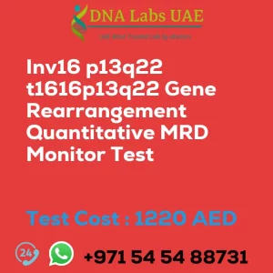 Inv16 p13q22 t1616p13q22 Gene Rearrangement Quantitative MRD Monitor Test sale cost 1220 AED