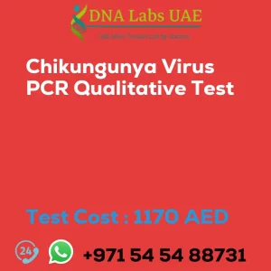 Chikungunya Virus PCR Qualitative Test sale cost 1170 AED