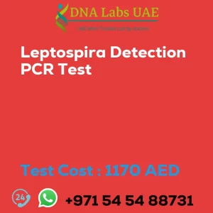 Leptospira Detection PCR Test sale cost 1170 AED