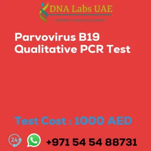 Parvovirus B19 Qualitative PCR Test sale cost 1000 AED