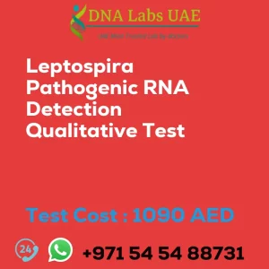 Leptospira Pathogenic RNA Detection Qualitative Test sale cost 1090 AED