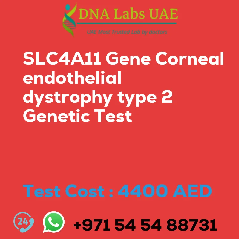 SLC4A11 Gene Corneal endothelial dystrophy type 2 Genetic Test sale cost 4400 AED