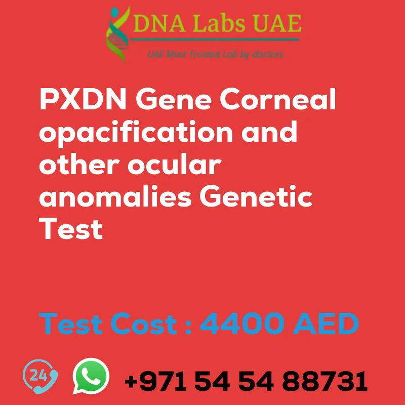 PXDN Gene Corneal opacification and other ocular anomalies Genetic Test sale cost 4400 AED
