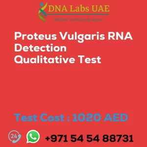 Proteus Vulgaris RNA Detection Qualitative Test sale cost 1020 AED