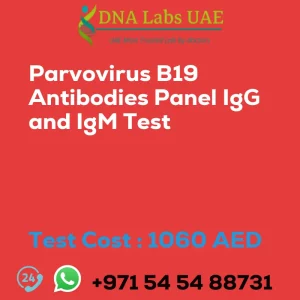 Parvovirus B19 Antibodies Panel IgG and IgM Test sale cost 1060 AED