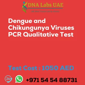 Dengue and Chikungunya Viruses PCR Qualitative Test sale cost 1050 AED