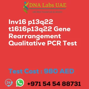 Inv16 p13q22 t1616p13q22 Gene Rearrangement Qualitative PCR Test sale cost 980 AED