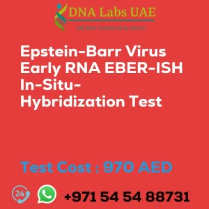 Epstein-Barr Virus Early RNA EBER-ISH In-Situ-Hybridization Test sale cost 970 AED