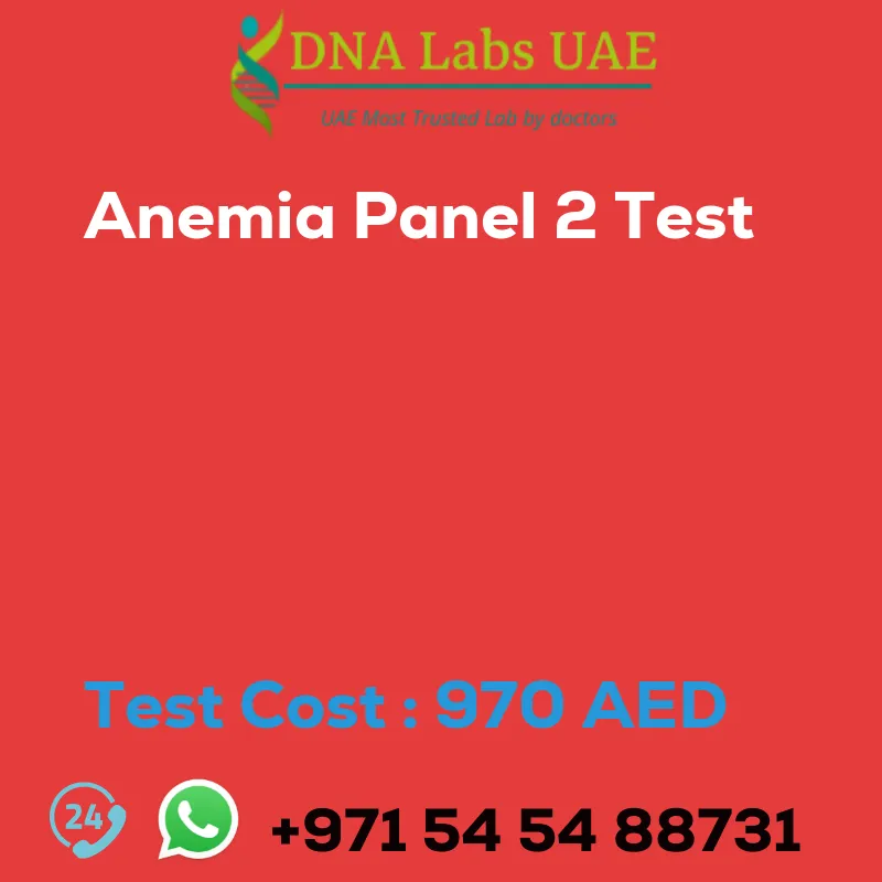 Anemia Panel 2 Test sale cost 970 AED