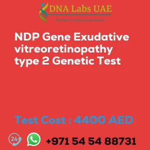 NDP Gene Exudative vitreoretinopathy type 2 Genetic Test sale cost 4400 AED