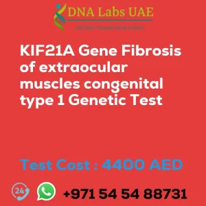 KIF21A Gene Fibrosis of extraocular muscles congenital type 1 Genetic Test sale cost 4400 AED