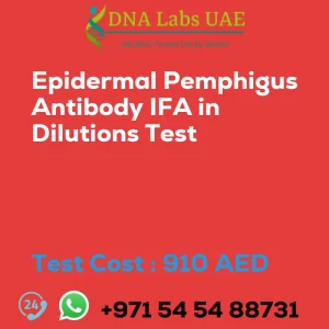 Epidermal Pemphigus Antibody IFA in Dilutions Test sale cost 910 AED