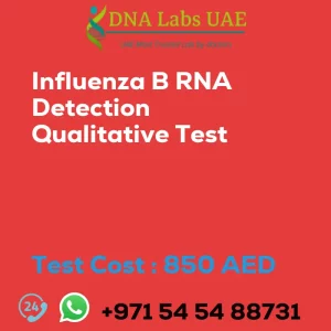 Influenza B RNA Detection Qualitative Test sale cost 850 AED