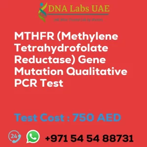 MTHFR (Methylene Tetrahydrofolate Reductase) Gene Mutation Qualitative PCR Test sale cost 750 AED