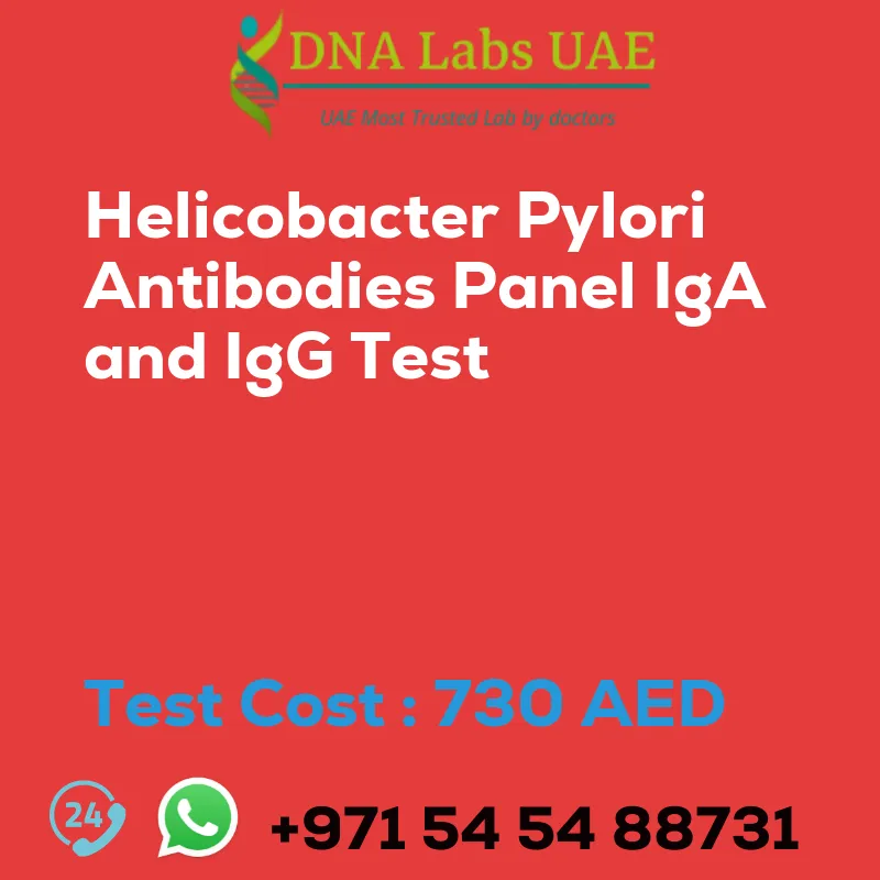 Helicobacter Pylori Antibodies Panel IgA and IgG Test sale cost 730 AED