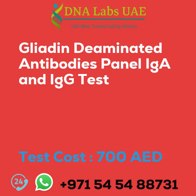 Gliadin Deaminated Antibodies Panel IgA and IgG Test sale cost 700 AED