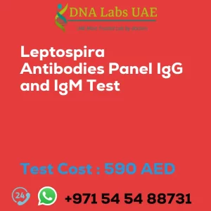 Leptospira Antibodies Panel IgG and IgM Test sale cost 590 AED