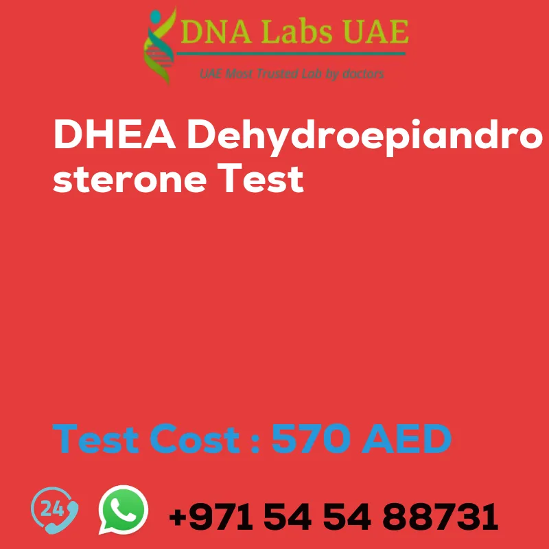 DHEA Dehydroepiandrosterone Test sale cost 570 AED