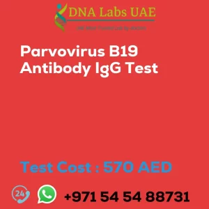 Parvovirus B19 Antibody IgG Test sale cost 570 AED