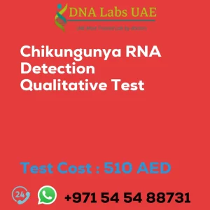Chikungunya RNA Detection Qualitative Test sale cost 510 AED