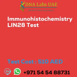 Immunohistochemistry LIN28 Test sale cost 510 AED