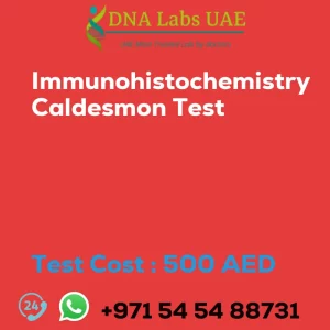Immunohistochemistry Caldesmon Test sale cost 500 AED