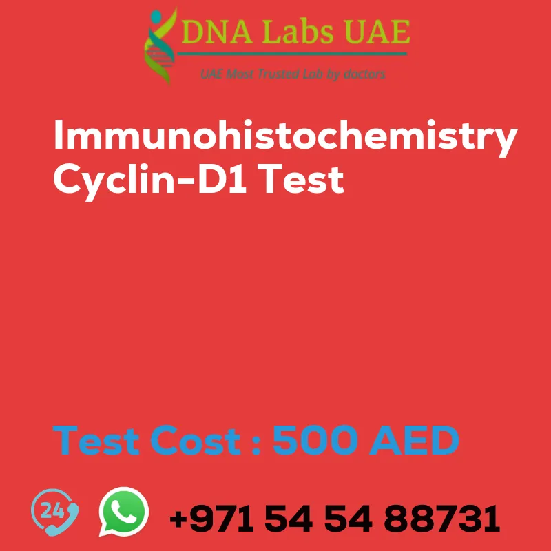Immunohistochemistry Cyclin-D1 Test sale cost 500 AED
