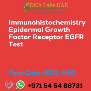 Immunohistochemistry Epidermal Growth Factor Receptor EGFR Test sale cost 500 AED