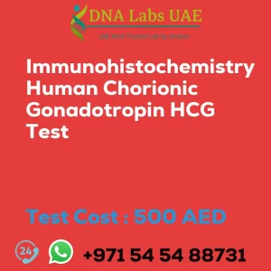 Immunohistochemistry Human Chorionic Gonadotropin HCG Test sale cost 500 AED