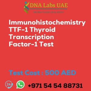 Immunohistochemistry TTF-1 Thyroid Transcription Factor-1 Test sale cost 500 AED