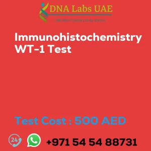 Immunohistochemistry WT-1 Test sale cost 500 AED